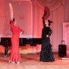 flamenco-t75_2559